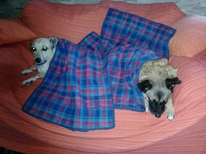 AF1QipOX1QX7fpxfOJH9sKwXYYVvN1q2JUVrvH6X8eQIw408 h306 k no