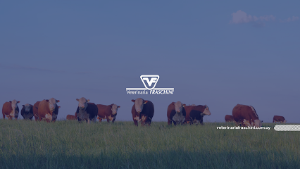 AF1QipOYgViLxFWkbxGAoQzfGMLCqyO0g2xHd196 Sc7w426 h240 k no