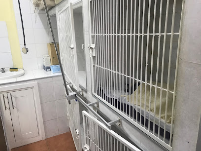 AF1QipOYnP60yLQ 6nmdAGyDPZtn8pMcJEe7Rz4udc9mw408 h306 k no