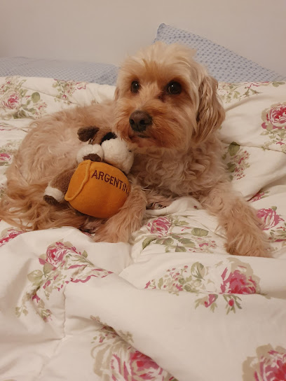 AF1QipO ASuti 4dwI2ufunXA2i9OHCPXBF9nRjaCfdow408 h544 k no