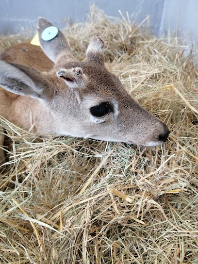 AF1QipOe8 vMs0AXB0rG N sX4geB w8YtduuTf04 u4w408 h544 k no