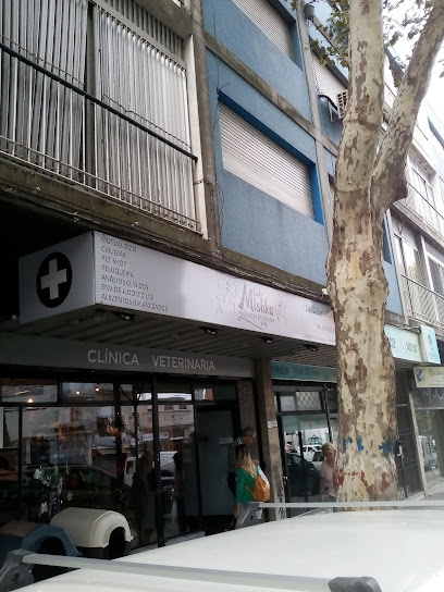 AF1QipOek6ZbZtc N8yj60t9ymDJDk0fc8XfbEjSxLPTw408 h544 k no