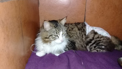 AF1QipOeyx3zbfeWTQKe4auCd3PLhu2Gj8tLLjMjioAGw426 h240 k no