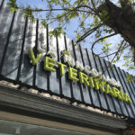 La Rinconada Veterinaria - Pando 6 AF1QipOnzWYLI1Y P8eTfnK87I3pjP2KrM41KM621YuKw408 h544 k no