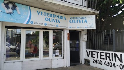 AF1QipOoPVjMT30fsNgS4WxI2QTvNDKYwSHW2nNR9KTEw426 h240 k no