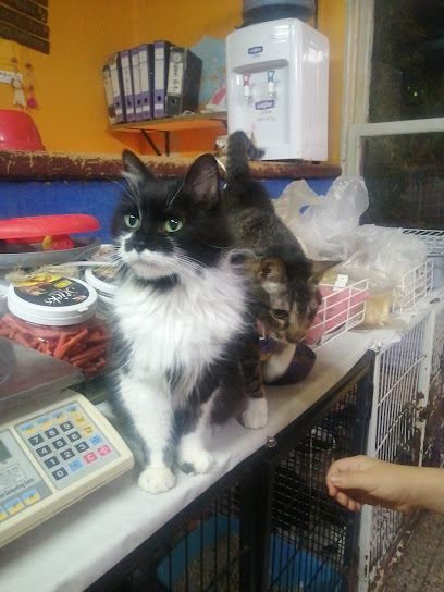 AF1QipOoy66HPmcSEFO9MNJRP6Gj qAVjAh9m0OhUljgw408 h544 k no