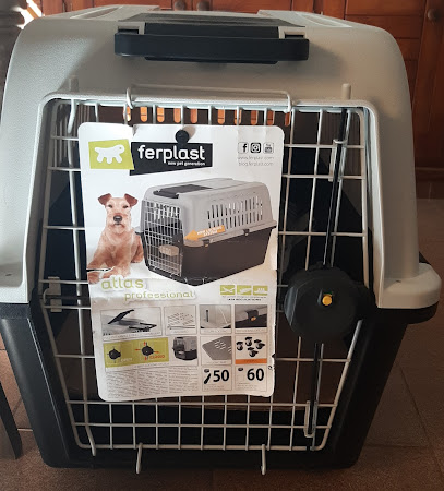 AF1QipOqHY4tbmbkm0q sFQKslE 6fUJaamJ4UM6AlkIw408 h450 k no