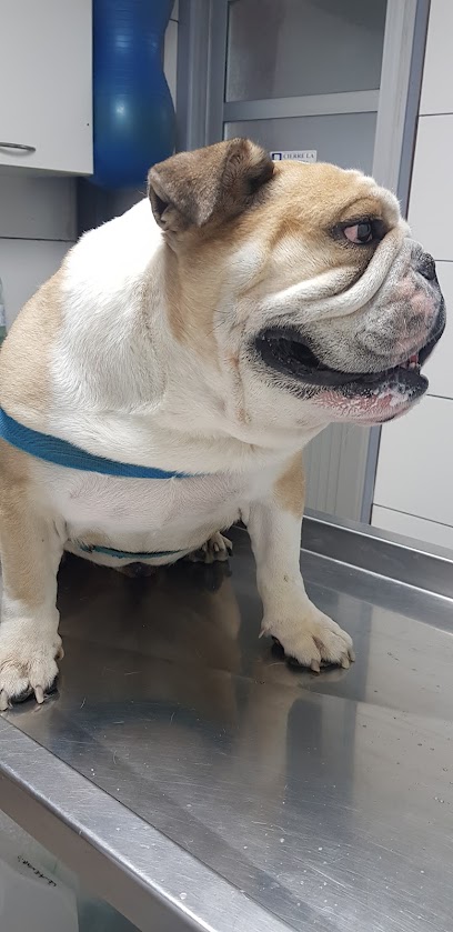 AF1QipOqNZPb61xdmfMC6DyY8HwkiDrApyWJch9koRpAw408 h839 k no