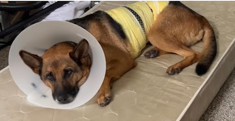 AF1QipOrC8e8Grvv553nNus5QFL4uPG81m5u9kiXoctuw464 h240 k no