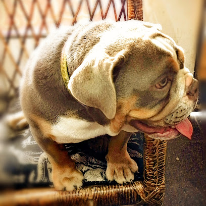 AF1QipOrKV4LnGwprP idXnuAT45wJ5Exr0zdBvpboRJw408 h408 k no