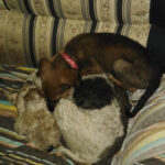 AF1QipOsPeIIWU7YNqvenQJB37cv5LOUzY8D CBt3QU7w408 h544 k no