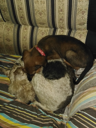 AF1QipOsPeIIWU7YNqvenQJB37cv5LOUzY8D CBt3QU7w408 h544 k no