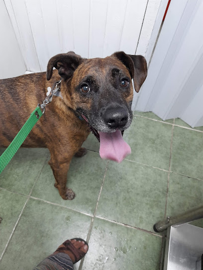 AF1QipOv39wKnitl BM2 ZcKH V1Howov7RH5xZdrR5Aw408 h544 k no