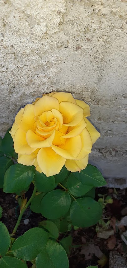 AF1QipOvJ18glCxSCrF1zYTjH2OrJ2kdpnzlwxLcsHpIw408 h861 k no