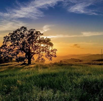 AF1QipOvKVEdalIV4b vty Yw6 y05t9KX WiNc3Wdivw408 h398 k no