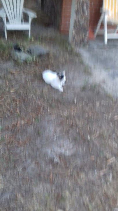 AF1QipOyqDUirv0Pn O8rRdZzYAdE1433AVqiZyNsPl4w408 h725 k no