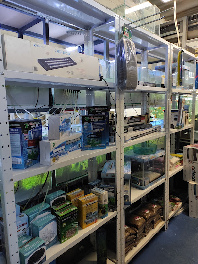 AF1QipOzY0tSZzM6TQKHzyckh2 mbXdOP7S8qyUPyQabw408 h545 k no