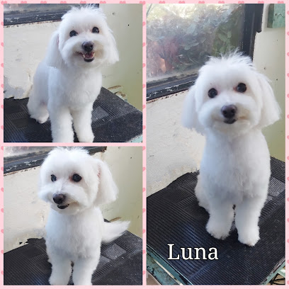 AF1QipP 5NCtaUJE7cjHffakn8fzOcsB fMsge9pEUV4w408 h408 k no