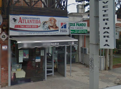 AF1QipP pp6eBqyItfgcWjEkT7ocruWDyaJ OTQi4Ud7w408 h301 k no