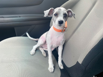 AF1QipP0IpIa3m4MFHSCeZz8bYSnmZOdxXlszZga0xZMw408 h306 k no