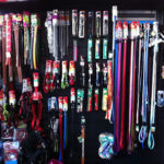 AF1QipP4e Y5ROlcUm7jWub5udctixHPZVNCLggGDlsLw408 h304 k no