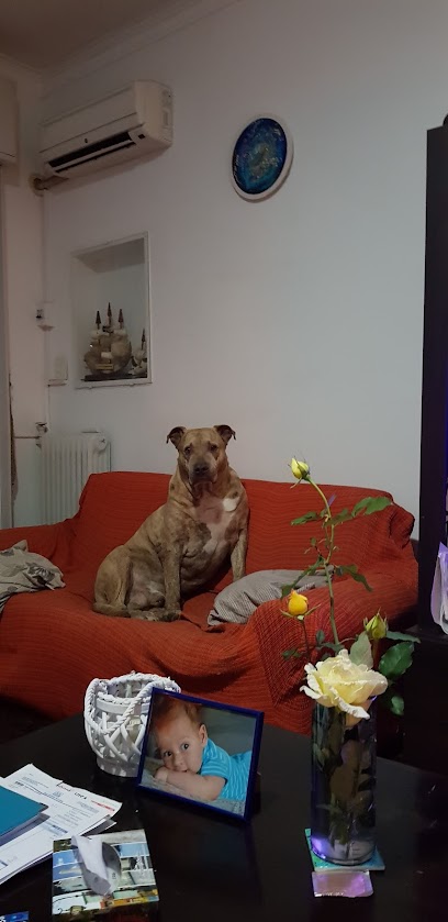 AF1QipP56GN5vLsR8EIA nT2FraVjJAsQnOkf3CEzLd w408 h839 k no