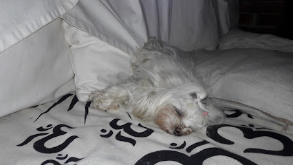 AF1QipP6QByLD6QGv92ejVrvsa57FUlWmExlXFEY3kEUw426 h240 k no