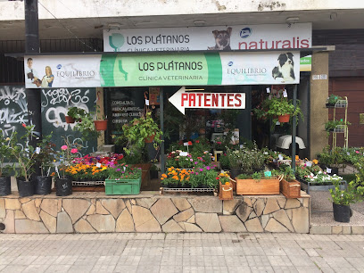 AF1QipP7ORUIesywcqaj88zygIW9fiCequg d4jweY3Iw408 h306 k no