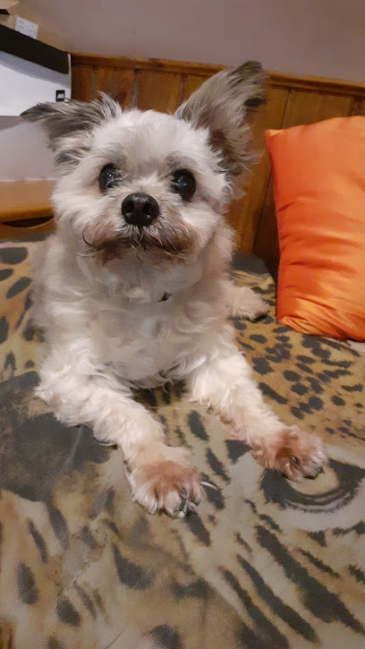 AF1QipP7ZnBIs5xW4OKw8 vHN3nQBezsw3JbFlr0q6ngw408 h725 k no