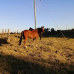 AF1QipP8zefOSEA1Lkrm167GS1psQ82fcmraPTkqQYliw408 h306 k no