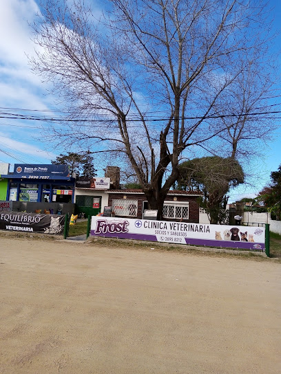 AF1QipP9xvslPCnRyUZikuXZEbA CynVNWHyF58qpGSYw408 h544 k no