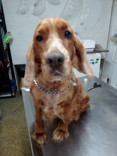 AF1QipPAopwEAQcxM4JV4a0swcDqYrAfn65BvfzoCmDKw408 h544 k no