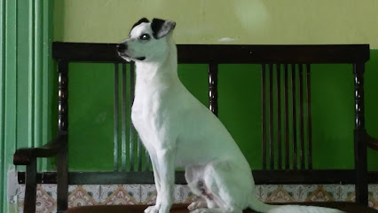 AF1QipPAqqjunHP9Lt9oBvvbL1HX8MST0wG9XJMFYH Ww426 h240 k no