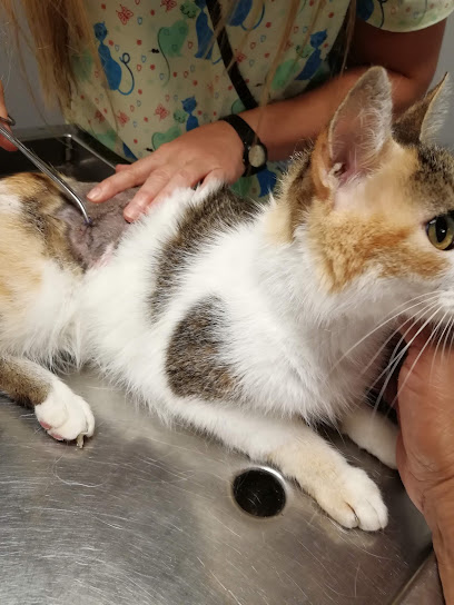 AF1QipPCQtwvr5mgT9mac7TpupEc6E4MjiyFrtONYhiZw408 h544 k no