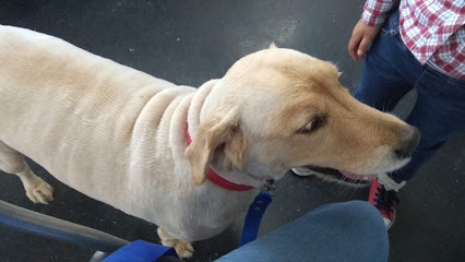 AF1QipPDDdcbSz j SSp EjVgcDFFgo2wEQgBTEAj56Cw426 h240 k no