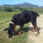 AF1QipPDLWCeFd N8mxHnKs27APfN U3NsPc5 8Rd4icw408 h306 k no