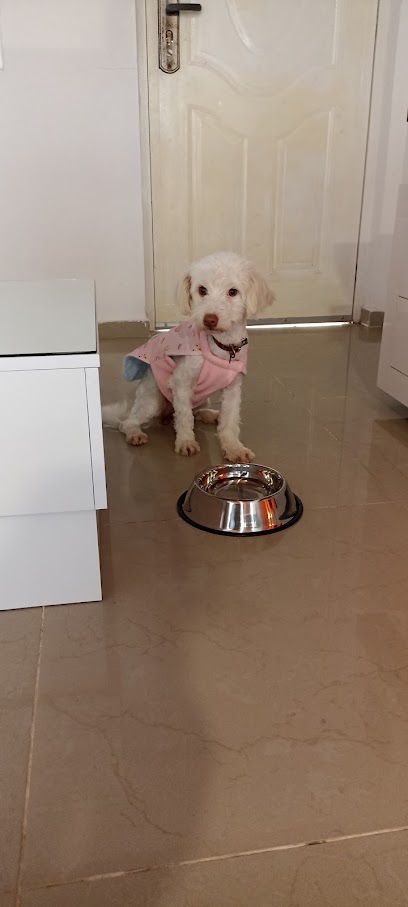 AF1QipPG oZjieINGFWn6UU DxkXJy lAohlzealwaydw408 h907 k no