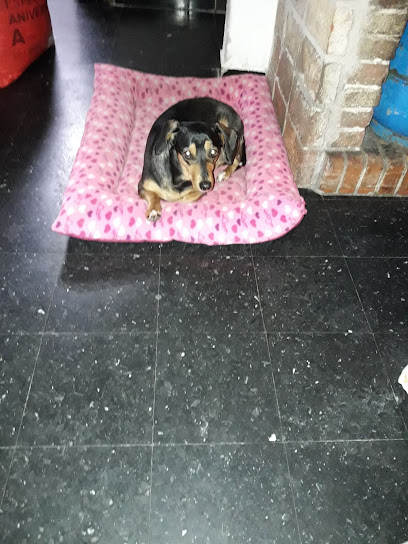 AF1QipPI zhIzJyaMrME7 UU5EBjDho oIXctgB2SeZfw408 h544 k no