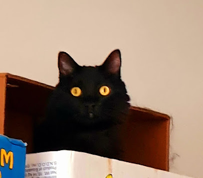 AF1QipPIkRlTGEtEP oo16KuJZVbRBH3HLn3cIpLpzM9w408 h358 k no