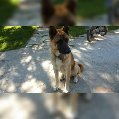 AF1QipPJUZERYIdFrA21GqtBqdLGBC9YucvS8jKoET5Lw408 h408 k no