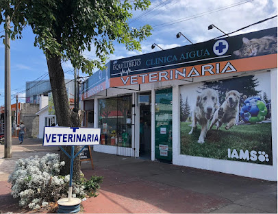 AF1QipPJm7 Lt1GT6wUl6kUEjD83EnMaXNH7wYIZolbNw408 h312 k no