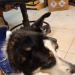 AF1QipPLDpRZ3ogHB6o55rcIsJzenpr3f 8mSthZOS73w408 h725 k no