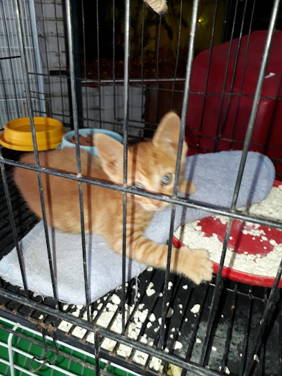 AF1QipPLK4XVmNxeXvOyfqJqi tU3DG6Lzb o7kp mVmw408 h544 k no