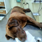 AF1QipPNG1iw1uZ3qPIEwKpwwWQzfZeeYrsLOWlQJ8Wnw408 h544 k no