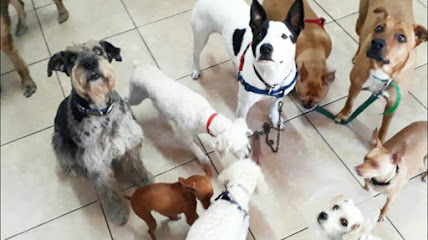 AF1QipPNm KeYYy7ZJeFSNxGRfU 8eKEow xrlsEt4mWw428 h240 k no