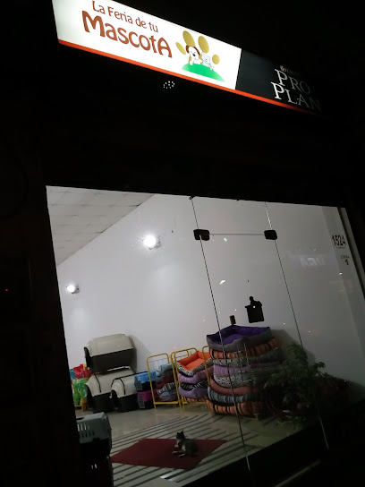 AF1QipPQelweGZYN IZBQmM6 QDUeURLEA2Nf2BZ2lksw408 h544 k no