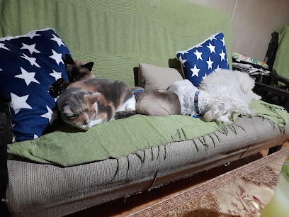 AF1QipPT1h5Nx8AUuhBblre SfzWJcarhihUwEdxBlZQw408 h306 k no