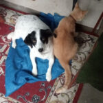 AF1QipPTd8V6dkdkIG53jkyg2V26mHvUW8GRflBBlA Iw408 h725 k no