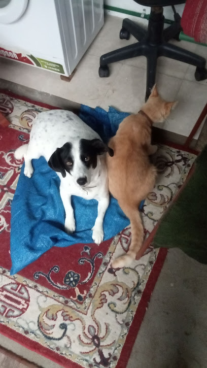 AF1QipPTd8V6dkdkIG53jkyg2V26mHvUW8GRflBBlA Iw408 h725 k no