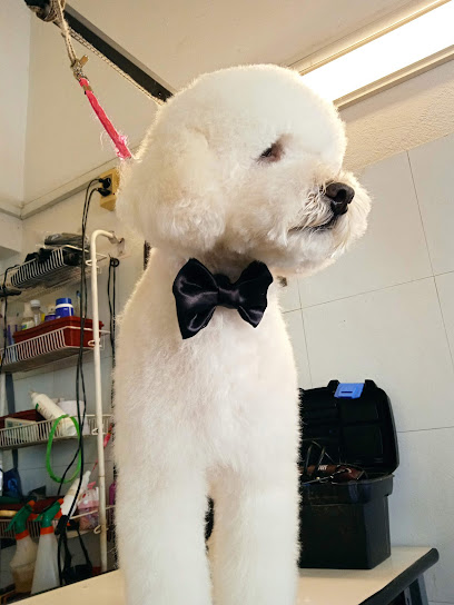 AF1QipPTjHsVIAuYaT8Wa1Ui6CjkRCTL G9za NC68Avw408 h544 k no